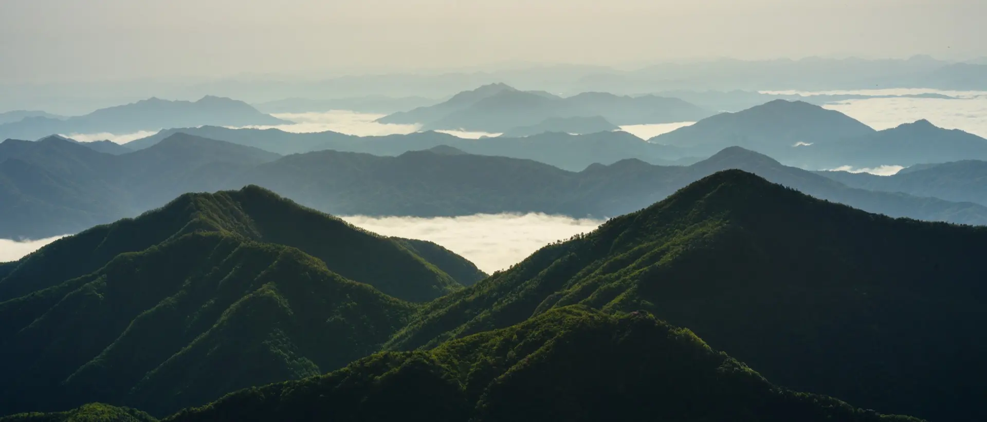 Layered green mountains above a sea of clouds (ambience image)